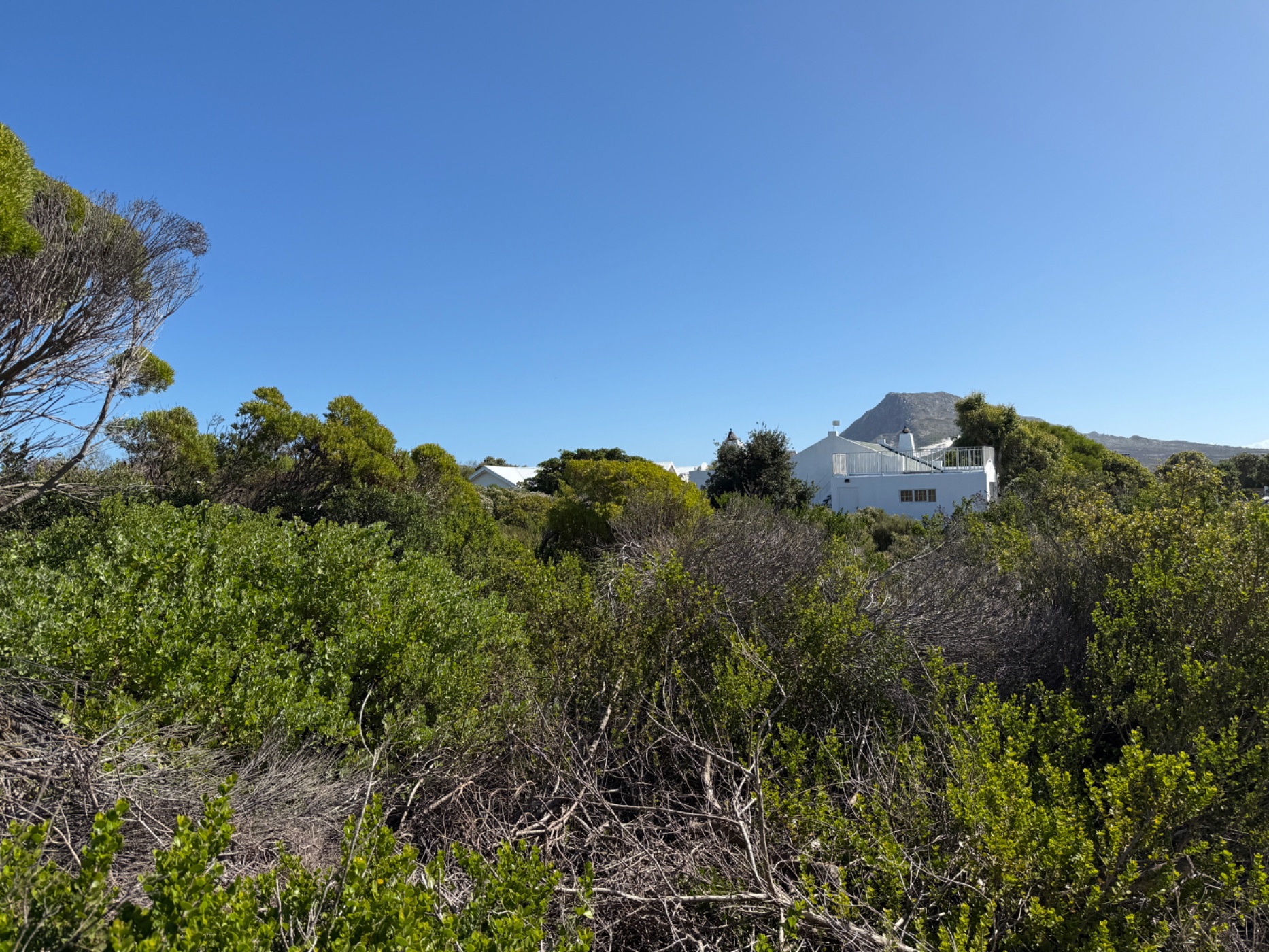 1387 m&sup2; vacant land for sale in Bettys Bay