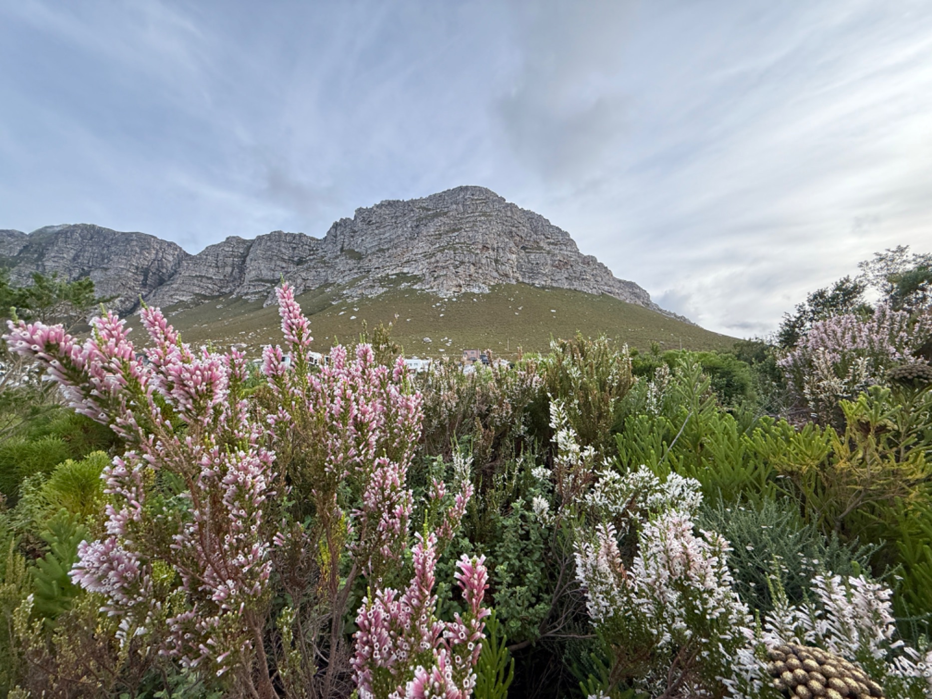 1338 m&sup2; vacant land for sale in Bettys Bay
