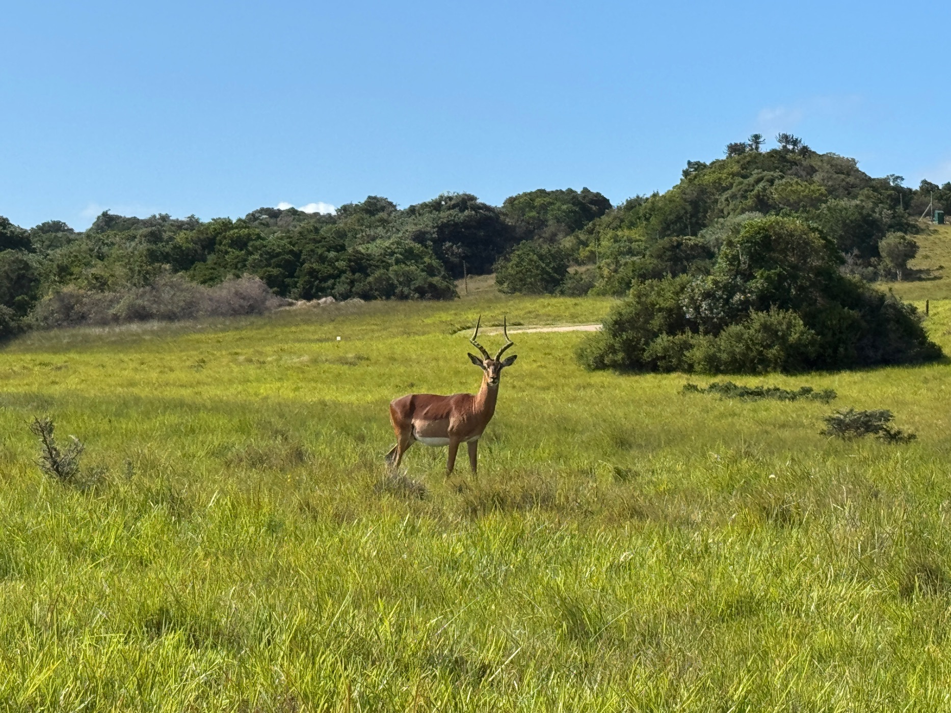 777 m&sup2; vacant land for sale in Kenton Eco Estate