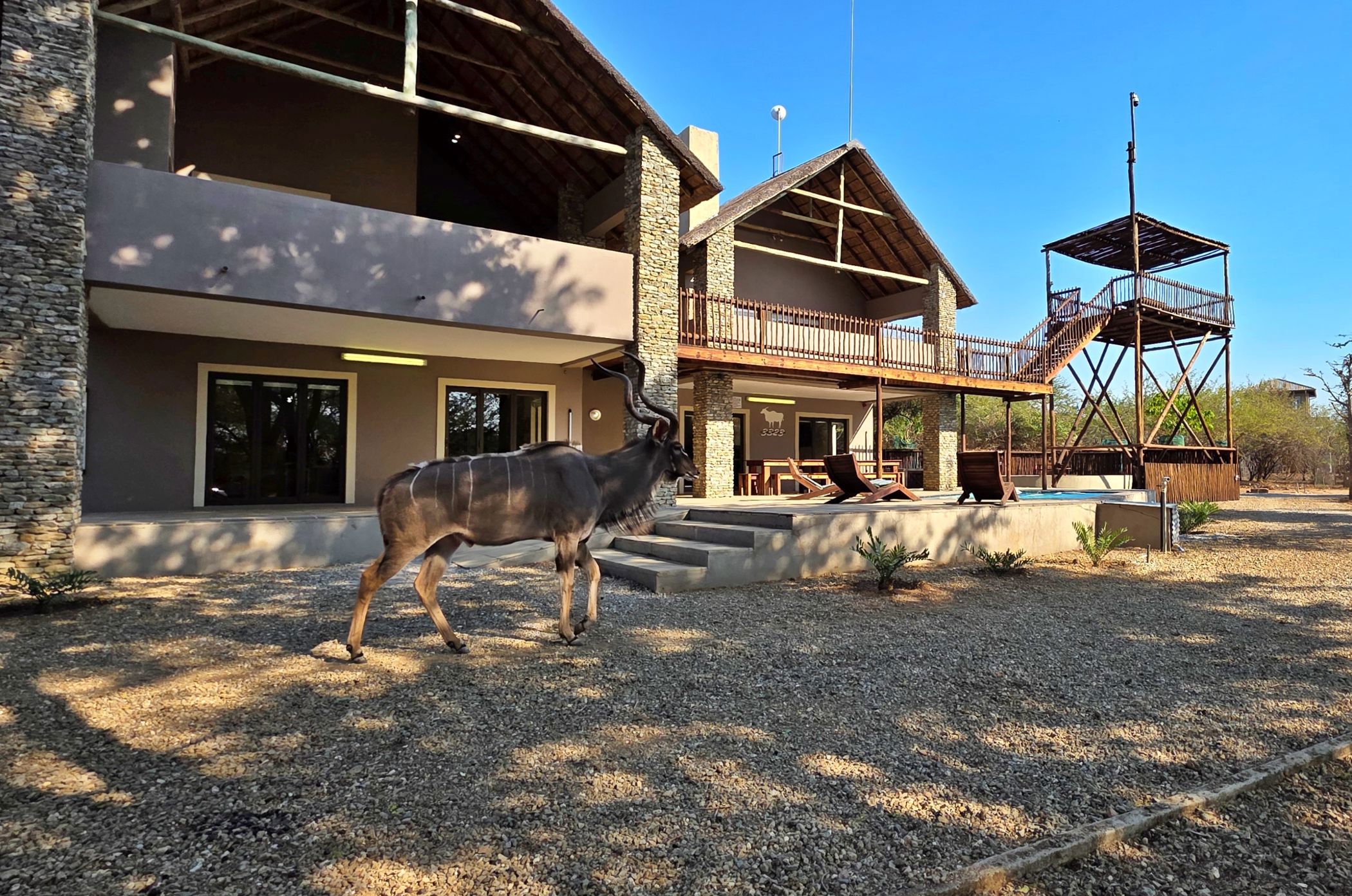 House to rent in Marloth Park