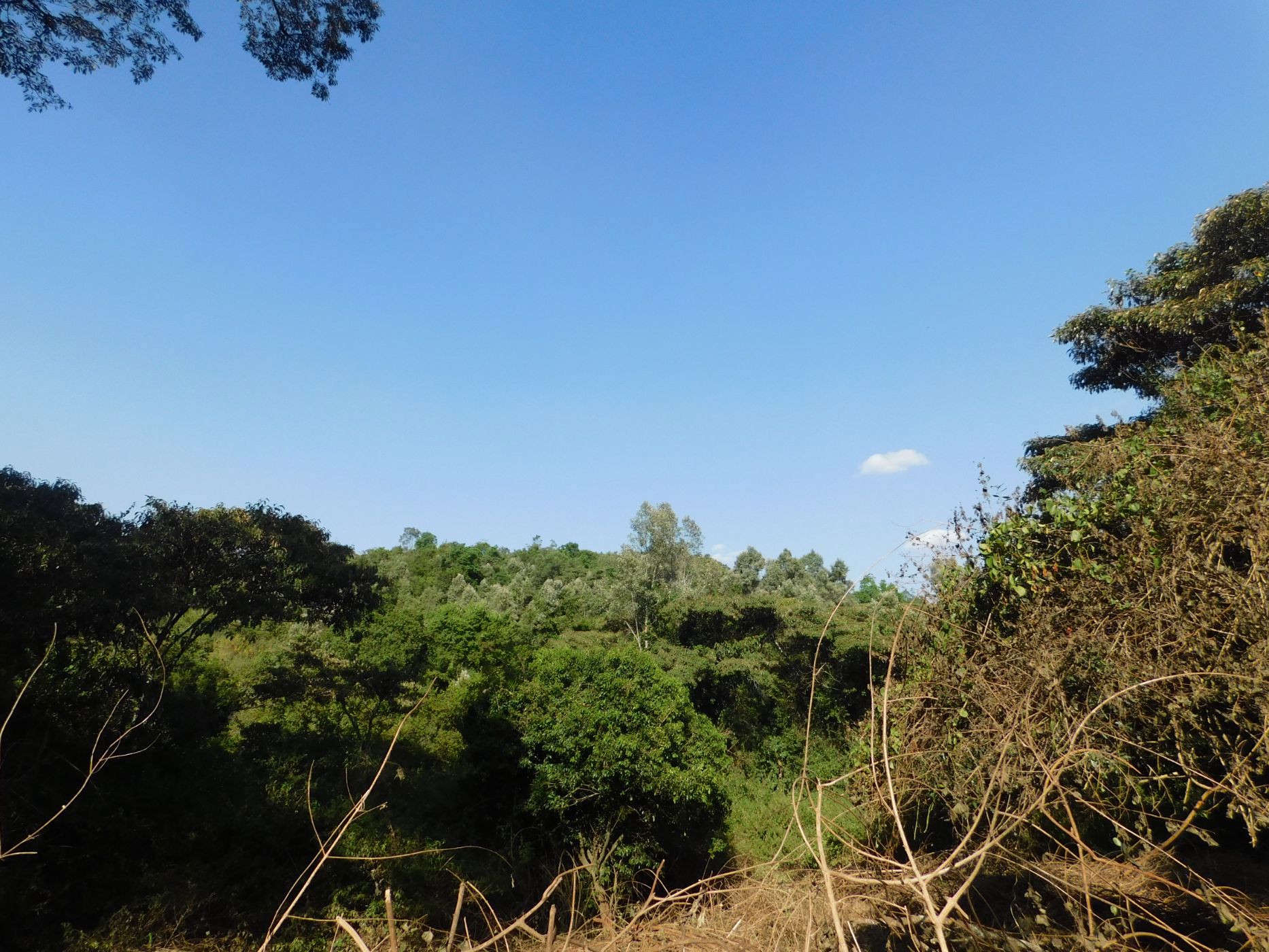 1 acres residential vacant land for sale in Karen (Kenya)
