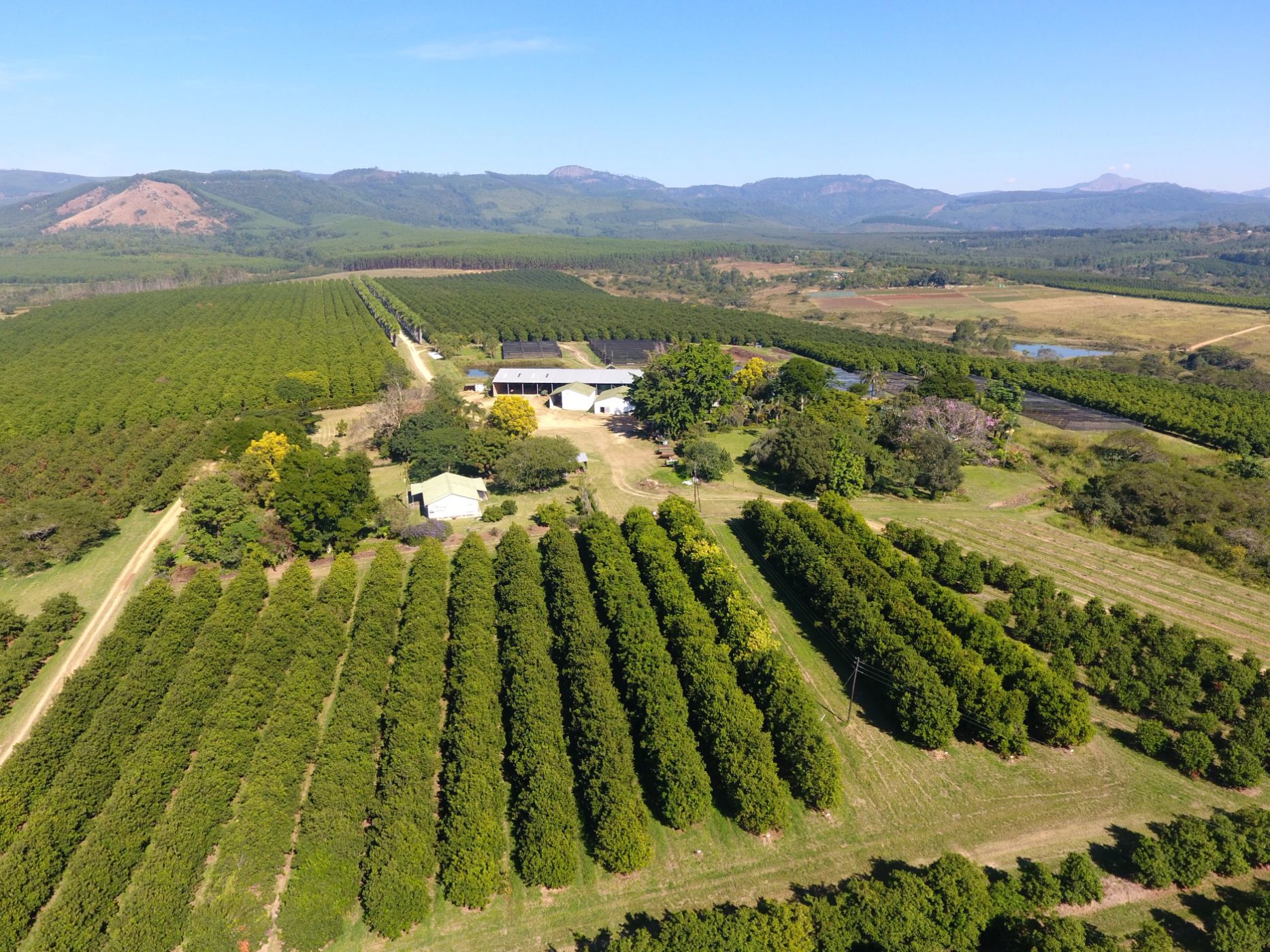211.6 hectare nut farm for sale in Barberton Rural