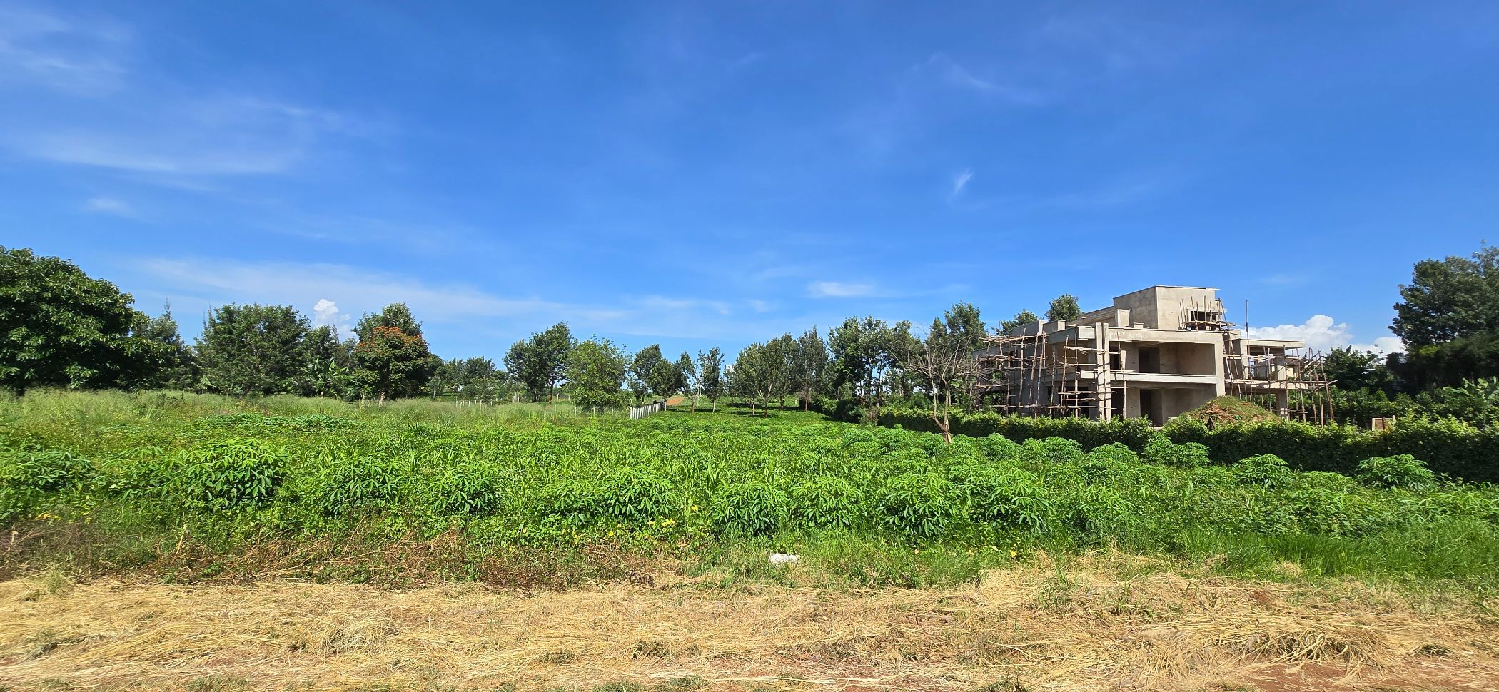 0.5 acres vacant land for sale in Kiambu (Kenya)