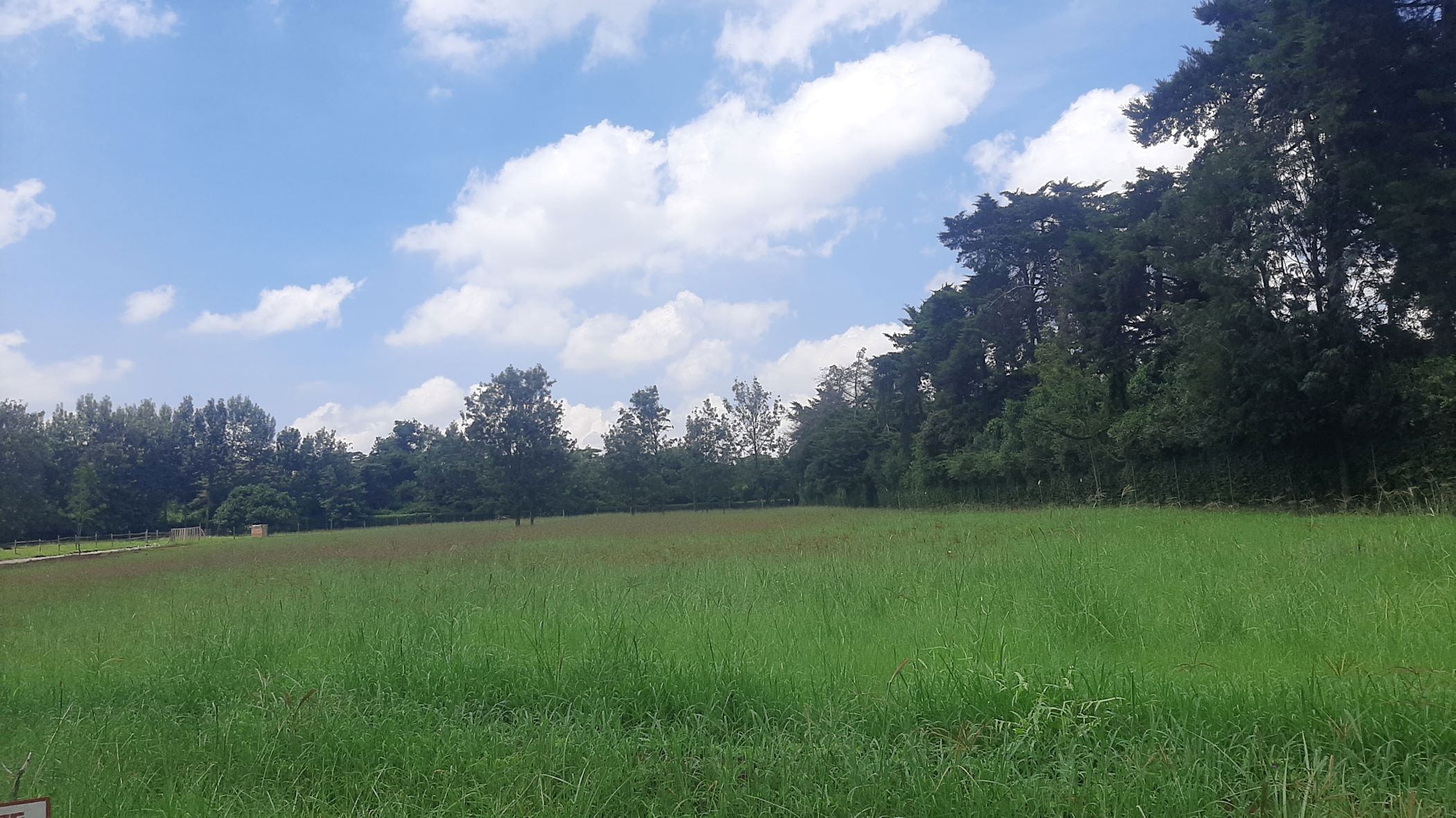 1 acres vacant land for sale in Karen (Kenya)