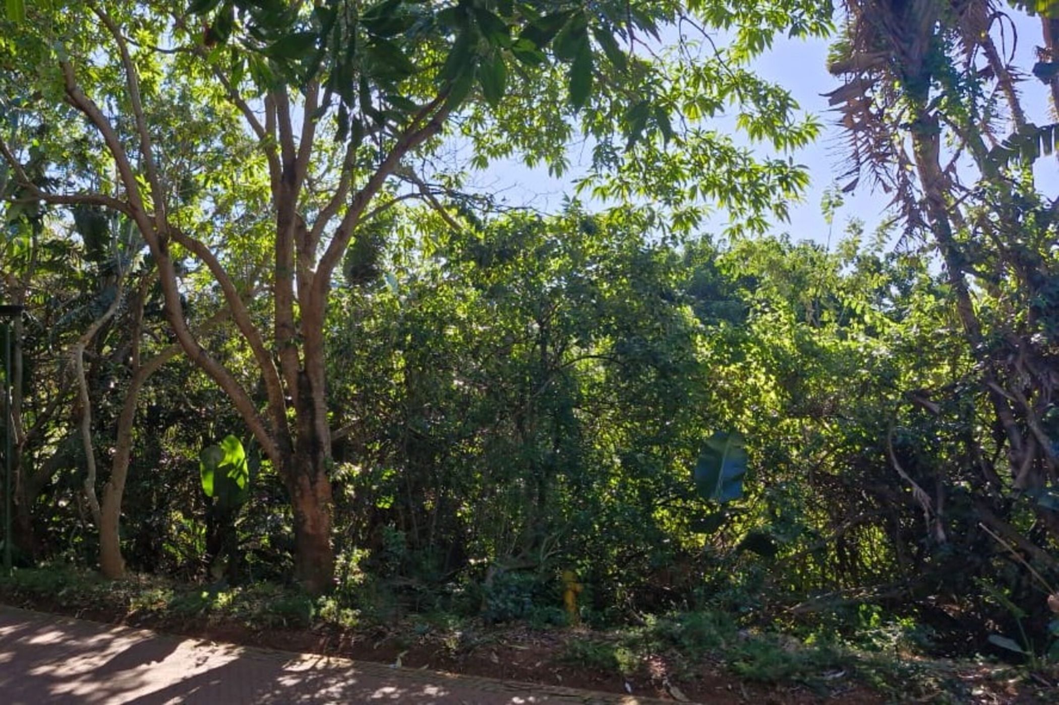 1564 m&sup2; vacant land for sale in Zimbali Estate