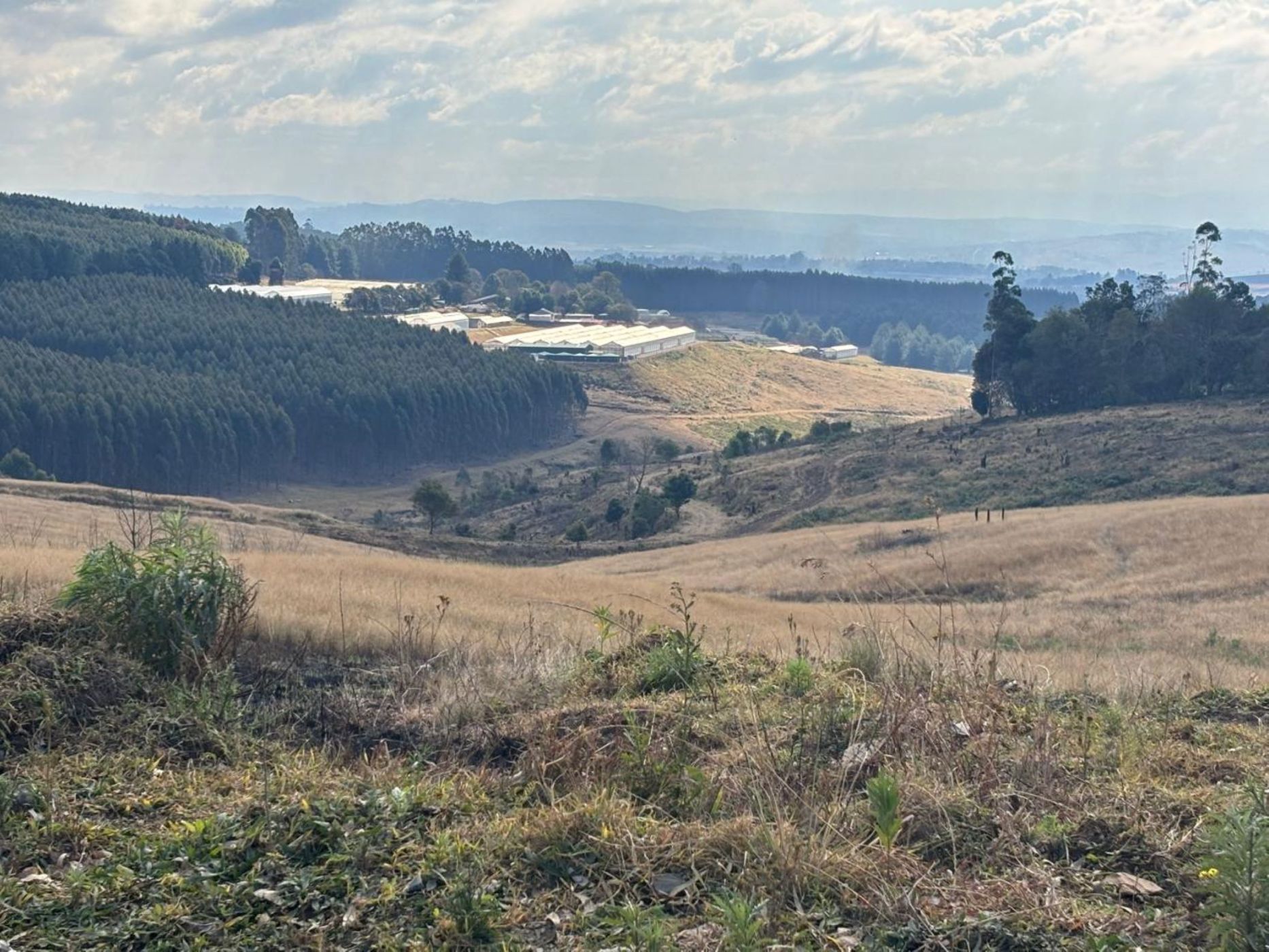 398981 m&sup2; vacant land for sale in Winterskloof