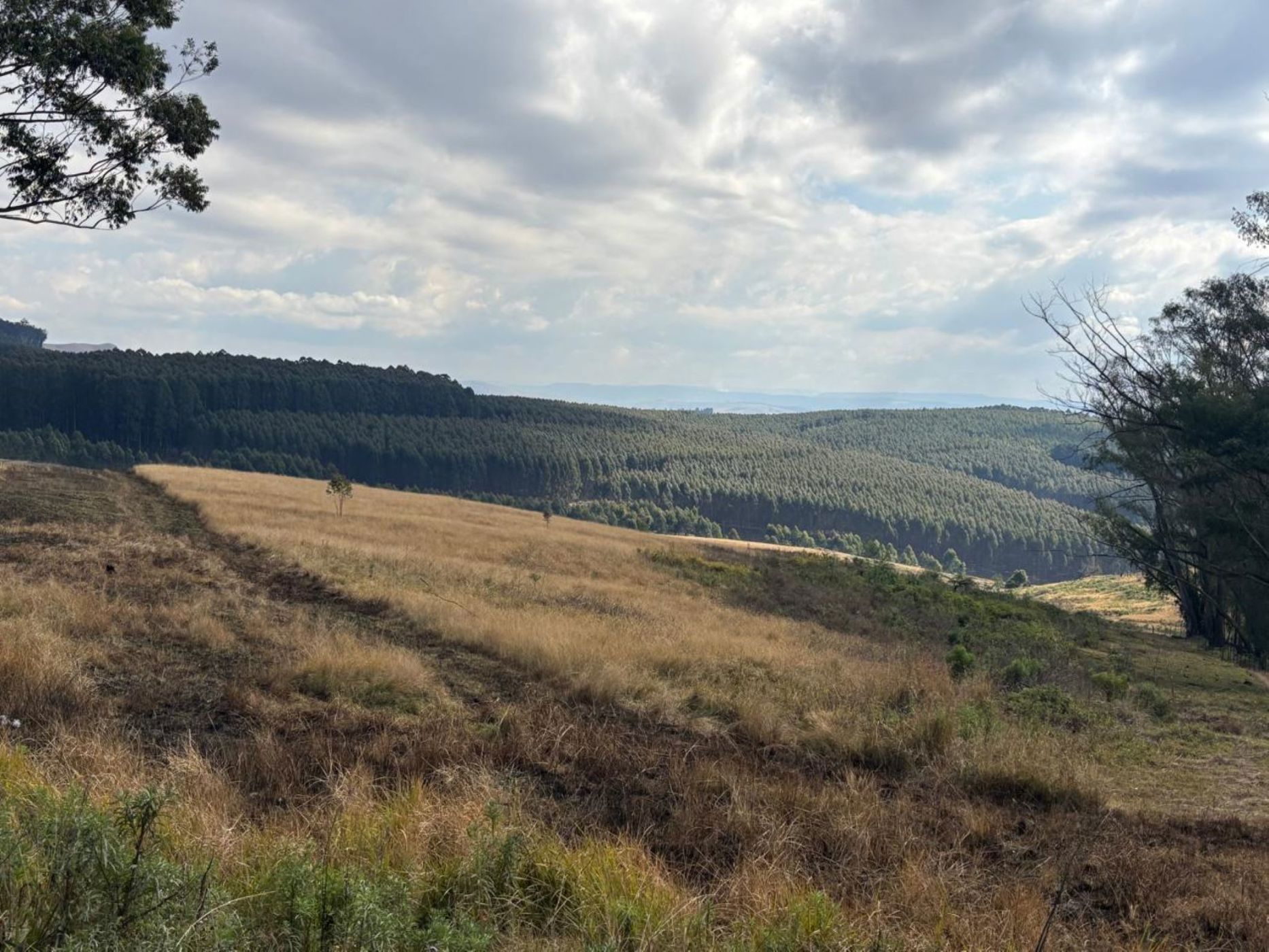 474306 m&sup2; vacant land for sale in Winterskloof