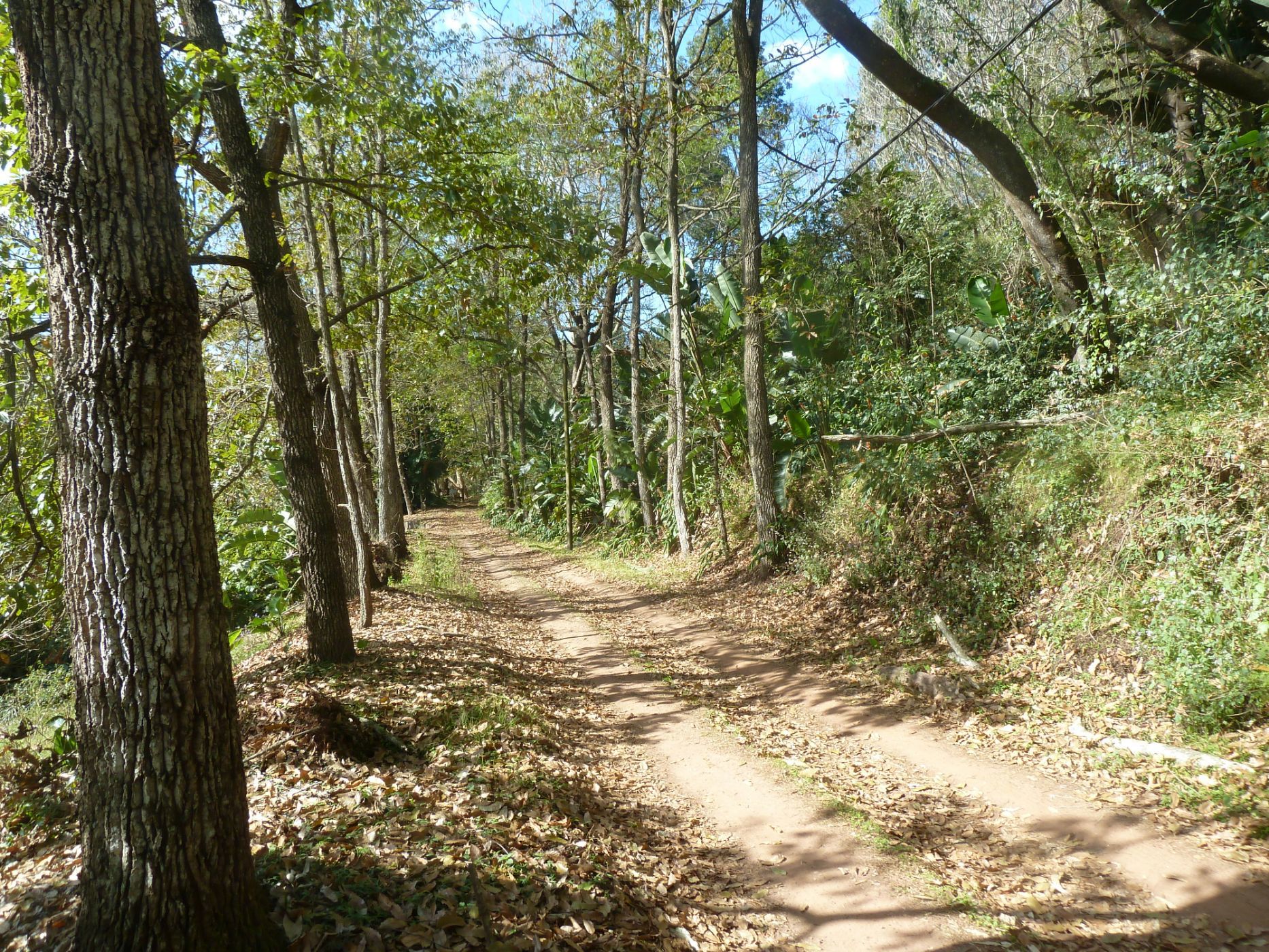 1872 m&sup2; residential vacant land for sale in Waterfall (Upper Highway)