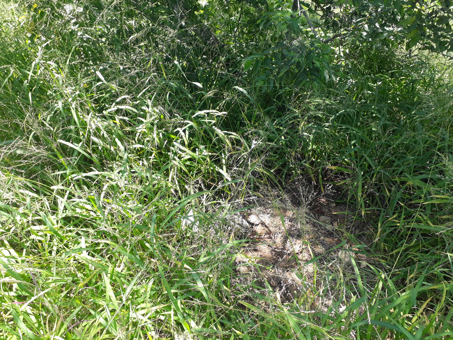 954 m&sup2; residential vacant land for sale in Elawini Lifestyle Estate