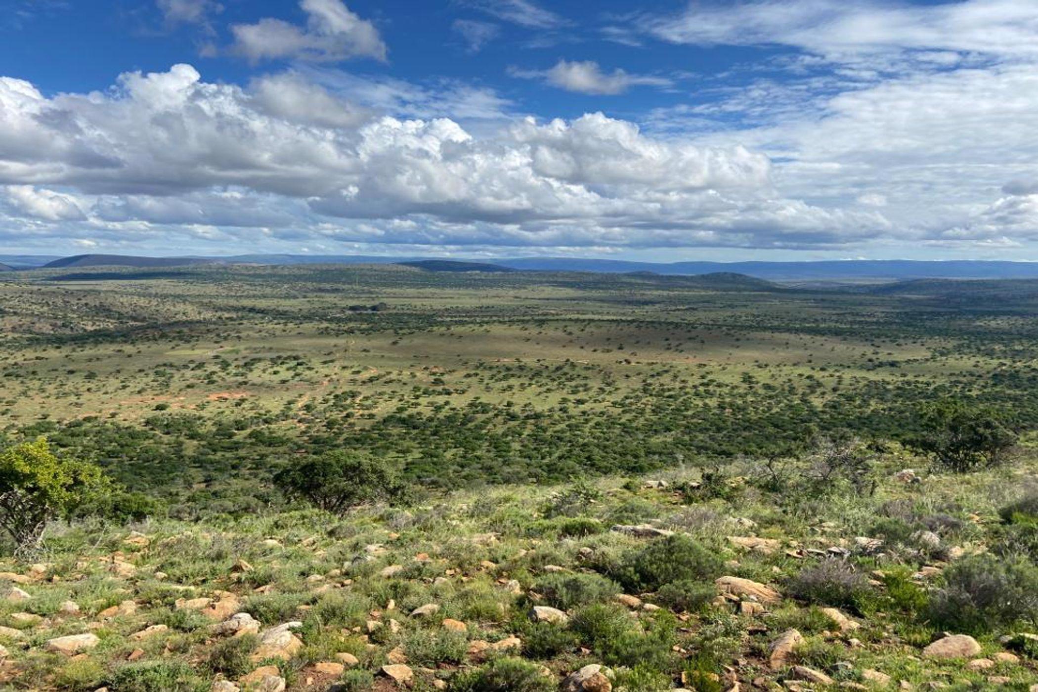 890 hectare livestock farm for sale in Grahamstown (Makhanda)