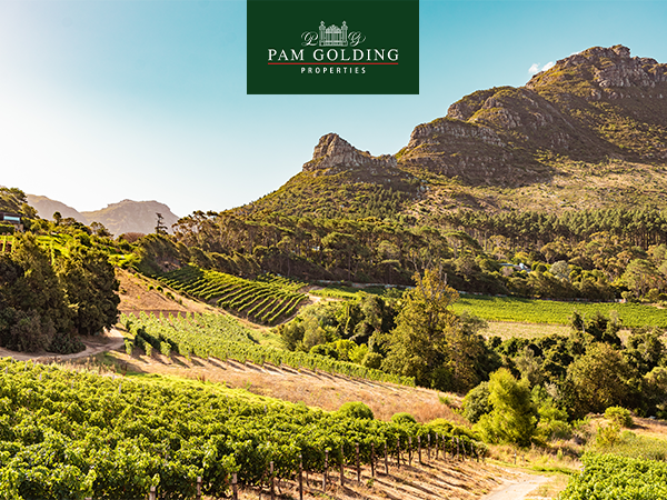 Constantia Upper Newsletter